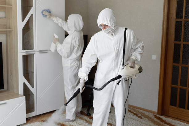 24/7 Emergency Sewage Cleanup experts in Ashland, VA